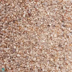 شن خاویاری 5 کیلوگرمی