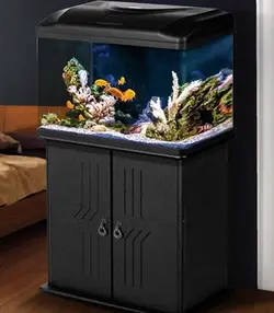پایه آکواریوم 58 سانتی دلسا k580