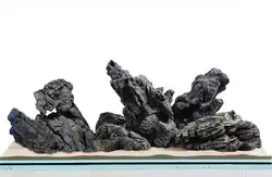 سنگ آکواریوم رایو