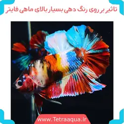 غذای ماهی بتا گرانولیت تروپیکال Betta Granulat Tropical