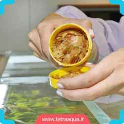 غذای نوورد ماهی قرمز آکواریوم برند جی بی ال NovoRed JBL