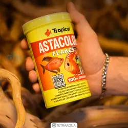 غذای ماهی آستا کالر پولکی تروپیکال AstaColor Flakes Tropical