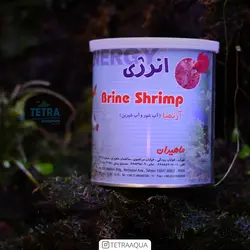 غذای ماهی آکواریوم آرتمیا خشک شده