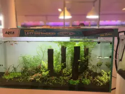 نور ال ای دی آکواریوم 100 سانت آکوا مدل LED2R100