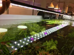 نور ال ای دی آکواریوم 100 سانت آکوا مدل LED2R100