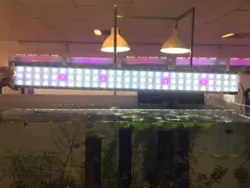 نور ال ای دی آکواریوم 100 سانت آکوا مدل LED2R100