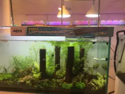 نور ال ای دی آکواریوم 80 سانت آکوا مدل LED2R80