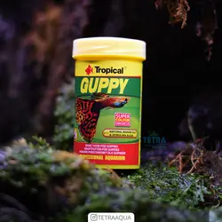 غذای ماهی گوپی تروپیکال  Guppy Tropical