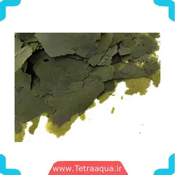 غذای ماهی سوپر اسپرولینا فورت تروپیکال  Supper Spirulina Fort Tropical