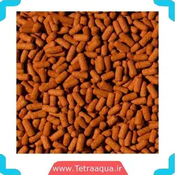 غذای مدیوم استیکی ماهی آروانا برند تروپیکال