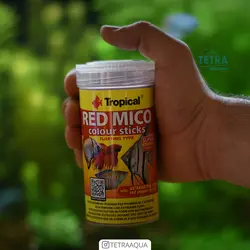 غذای ماهی رد میکو کالر استیکز تروپیکال Red Mico Colour Sticks Tropical