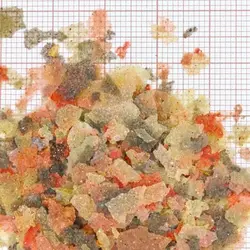 خرید آنلاین و ارسال رایگان غذای اصلی ماهیان آکواریومی برند جی بی ال مدل gala | فروشگاه آنلاین آکواریوم تترا