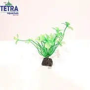 خرید انلاین و ارسال رایگان گیاه مصنوعی درخت سبز کوچک آکواریوم طبیعی و زیبا | فروشگاه آنلاین آکواریوم تترا