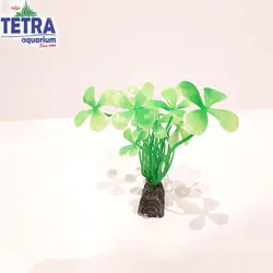 خرید انلاین و ارسال رایگان گیاه مصنوعی درخت سبز کوچک آکواریوم طبیعی و زیبا | فروشگاه آنلاین آکواریوم تترا