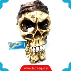 خرید انلاین و ارسال رایگان پلی استر اسکلت ترسناک آکواریوم زیبا و شیک | فروشگاه آنلاین آکواریوم تترا