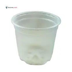 گلدان ژله ای بی رنگ سایز 13 بلند بسته 10 تایی