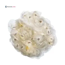 بذر آلوئه واریگاتا بسته ۱۰۰ عددی