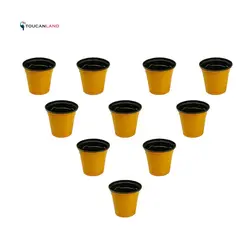 گلدان ژله ای سایز 6 بسته 50 عددی