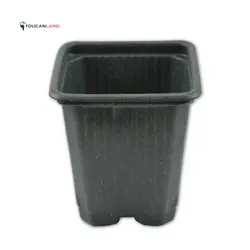 گلدان ژله ای مربع نشایی سایز 8 بسته 15 عددی