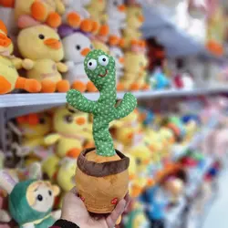 خرید و قیمت کاکتوس سخنگو شارژی لباس دار