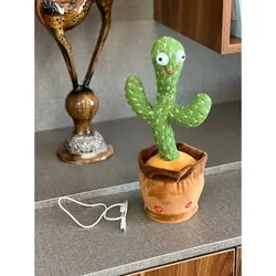 خرید و قیمت کاکتوس سخنگو شارژی لباس دار