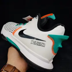 NIKE LEBRON WITNESS 5