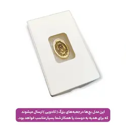 قیمت و خرید بج سینه کانون وکلای دادگستری مرکز | فروشگاه وکلا