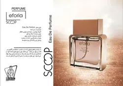 ادکلن مردانه EFORIA کد 500 خنک و تلخ در فروشگاه  ونوس مد