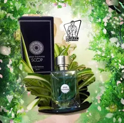 ادکلن مردانه POUR HOMME کد 493 خنک و ملایم درفروشگاه ونوس مد