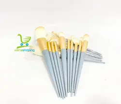 براش حرفه ای سایه و رژگونه۱۰تیکه