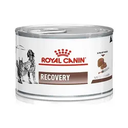 کنسرو سگ و گربه مدل Recovery برند Royal canin وزن 195 گرم