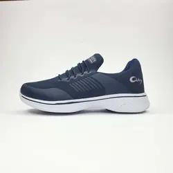 کفش اسکای ویتنامی سرمه ای