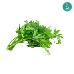 بذر سبزی جعفری اصلاح شده 20 گرمی | فروشگاه اینترنتی کیمیاکشت