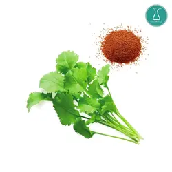بذر سبزی شاهی اصلاح شده 20 گرمی | فروشگاه اینترنتی کیمیاکشت