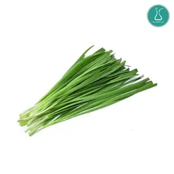 بذر سبزی تره اصلاح شده 20 گرمی | فروشگاه اینترنتی کیمیاکشت