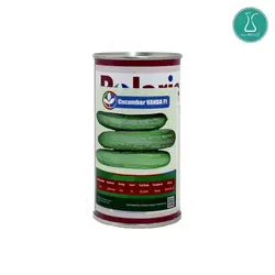 بذر خیار وندا