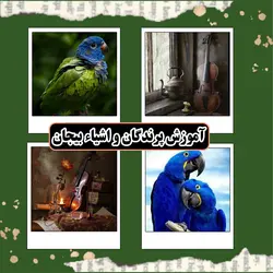 آموزش نقاشی مداد رنگی (پرنده و طبیعت بی جان)