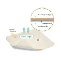 هیدروکلوئید استاندارد رنوکر | RenoCare Hydrocolloid Dressing (Standard)
