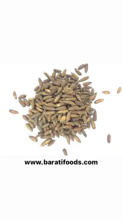 تخمه چلغوزه اعلا یک کیلویی