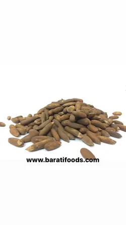 تخمه چلغوزه اعلا یک کیلویی