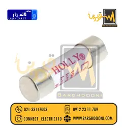 فیوز اهم متر 10 آمپر 1000 ولت HOLLY|فروش فیوز هالی و باسمن