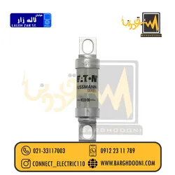 فیوز شاخکدار 45 آمپر تندسوز باسمن مدل FE45