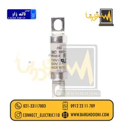 فیوز شاخکدار 35 آمپر تندسوز باسمن مدل FE35