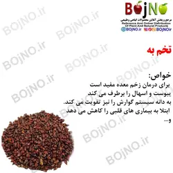 تخم به 50گرمی
