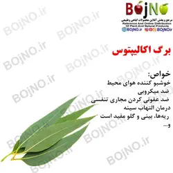برگ اکالیپتوس(بسته 50گرمی)