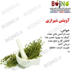آویشن شیرازی(بسته 50 گرمی)