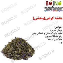 بنفشه کوهی(وحشی)(بسته 25گرمی)