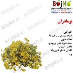 بومادران (بسته 50گرمی)