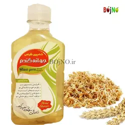 شامپو گیاهی جوانه گندم