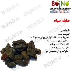 هلیله سیاه 50گرمی